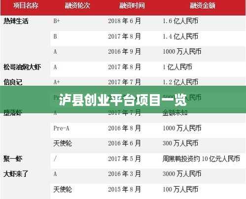 泸县创业平台项目一览