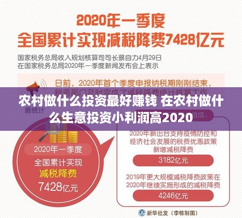 农村做什么投资最好赚钱 在农村做什么生意投资小利润高2020