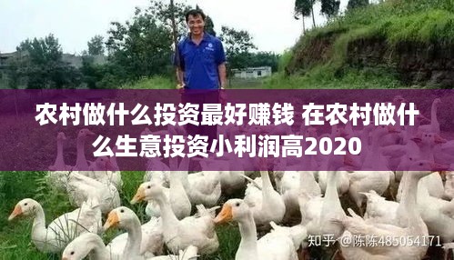 农村做什么投资最好赚钱 在农村做什么生意投资小利润高2020