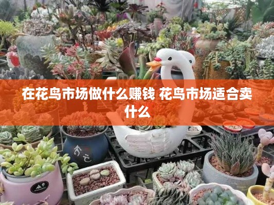 在花鸟市场做什么赚钱 花鸟市场适合卖什么