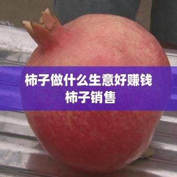 柿子做什么生意好赚钱 柿子销售