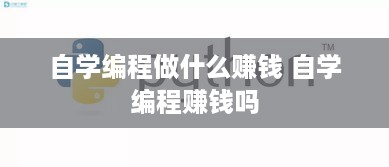 自学编程做什么赚钱 自学编程赚钱吗