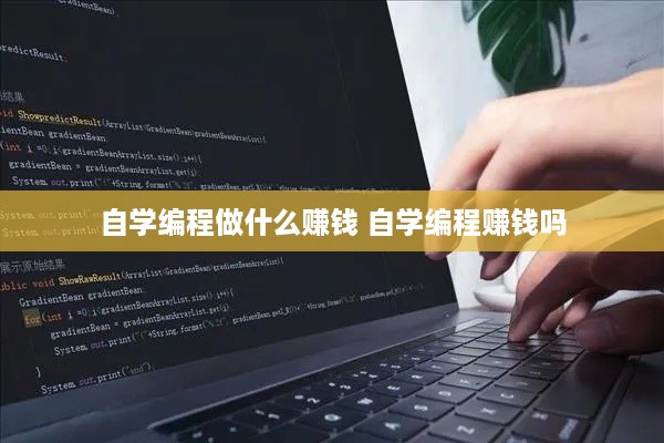 自学编程做什么赚钱 自学编程赚钱吗