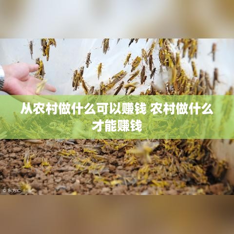 从农村做什么可以赚钱 农村做什么才能赚钱