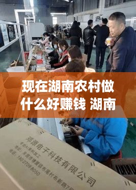 现在湖南农村做什么好赚钱 湖南农村适合办什么加工厂