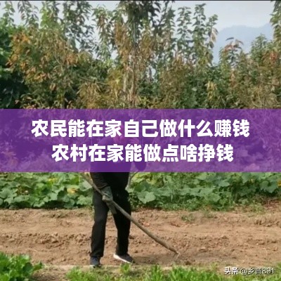 农民能在家自己做什么赚钱 农村在家能做点啥挣钱