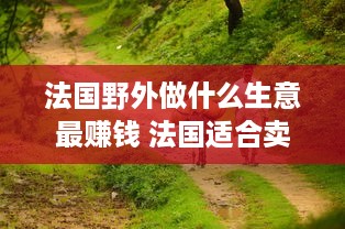 法国野外做什么生意最赚钱 法国适合卖什么