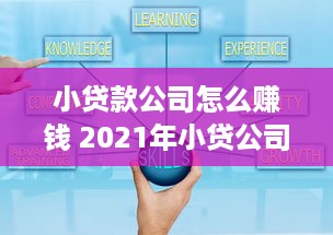 小贷款公司怎么赚钱 2021年小贷公司怎么干