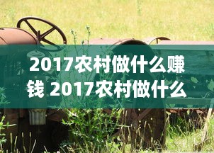 2017农村做什么赚钱 2017农村做什么赚钱多