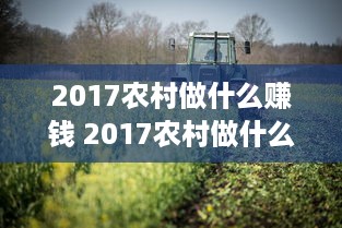 2017农村做什么赚钱 2017农村做什么赚钱多