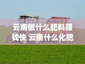 云南做什么肥料赚钱快 云南什么化肥卖的好