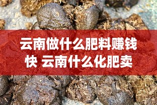 云南做什么肥料赚钱快 云南什么化肥卖的好