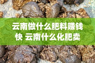 云南做什么肥料赚钱快 云南什么化肥卖的好