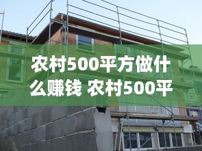 农村500平方做什么赚钱 农村500平米自建房图