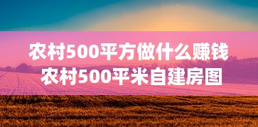 农村500平方做什么赚钱 农村500平米自建房图