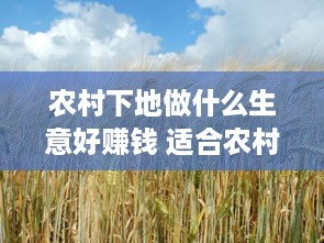 农村下地做什么生意好赚钱 适合农村下乡的生意