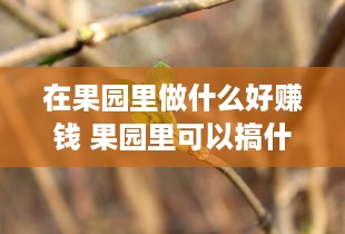 在果园里做什么好赚钱 果园里可以搞什么养殖