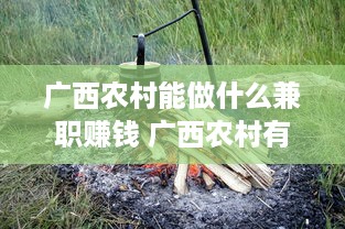 广西农村能做什么兼职赚钱 广西农村有哪些