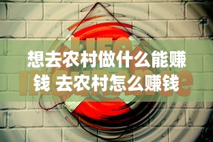 想去农村做什么能赚钱 去农村怎么赚钱