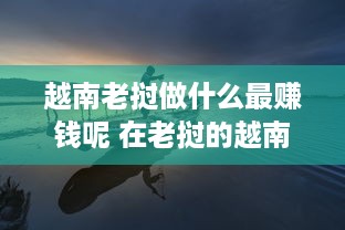 越南老挝做什么最赚钱呢 在老挝的越南人