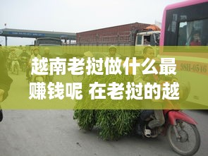 越南老挝做什么最赚钱呢 在老挝的越南人