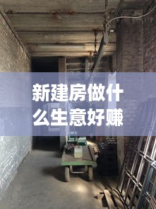 新建房做什么生意好赚钱 新建房做什么生意好赚钱快