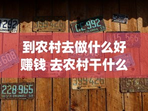 到农村去做什么好赚钱 去农村干什么