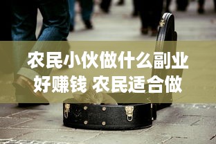 农民小伙做什么副业好赚钱 农民适合做什么副业