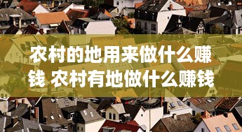 农村的地用来做什么赚钱 农村有地做什么赚钱