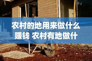 农村的地用来做什么赚钱 农村有地做什么赚钱