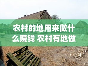 农村的地用来做什么赚钱 农村有地做什么赚钱