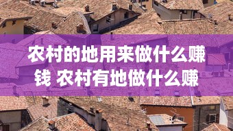 农村的地用来做什么赚钱 农村有地做什么赚钱