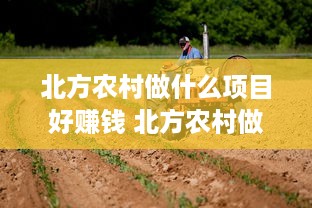 北方农村做什么项目好赚钱 北方农村做什么生意赚钱