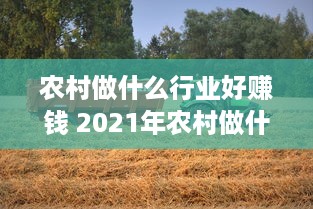 农村做什么行业好赚钱 2021年农村做什么行业赚钱有前景