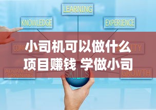 小司机可以做什么项目赚钱 学做小司机