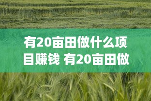 有20亩田做什么项目赚钱 有20亩田做什么项目赚钱多