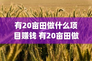 有20亩田做什么项目赚钱 有20亩田做什么项目赚钱多