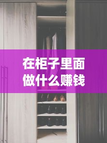 在柜子里面做什么赚钱 在柜子里是什么意思