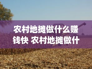 农村地摊做什么赚钱快 农村地摊做什么赚钱快呢