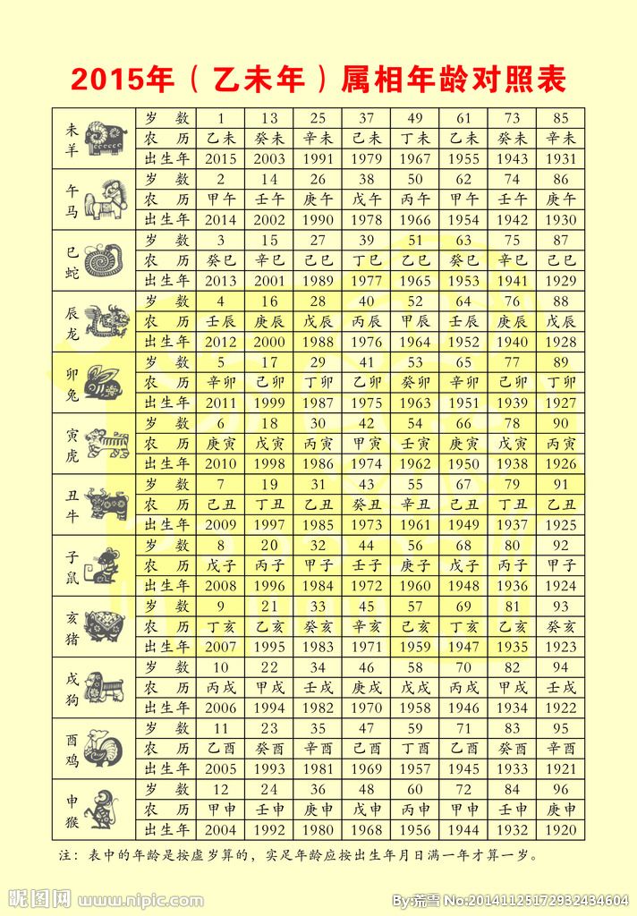 2020新生肖码表图正版图片